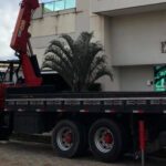 cilesio transportes especialistas em transporte vertical 150x150 - Como o munck pode revolucionar a log&iacute;stica da sua empresa