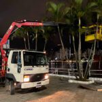 como os guindautos fazem a diferenca na poda de arvores 150x150 - Transporte de cargas pesadas com munck: conhe&ccedil;a as melhores pr&aacute;ticas