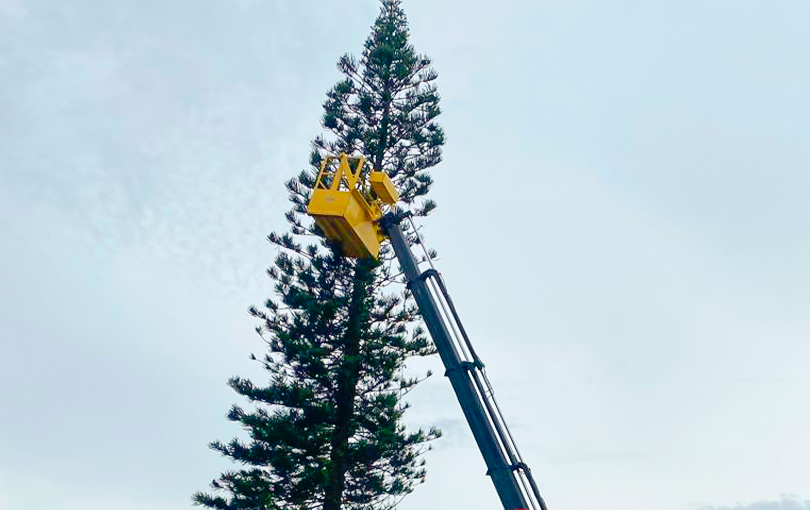 na operacao - Poda de &aacute;rvores com cesto a&eacute;reo: como o munck &eacute; fundamental na opera&ccedil;&atilde;o