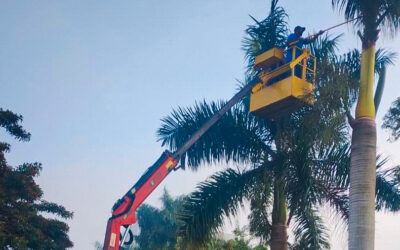 icamento de cesto aereo em itajai quais sao as operacoes para a estrategia 400x250 - In&iacute;cio